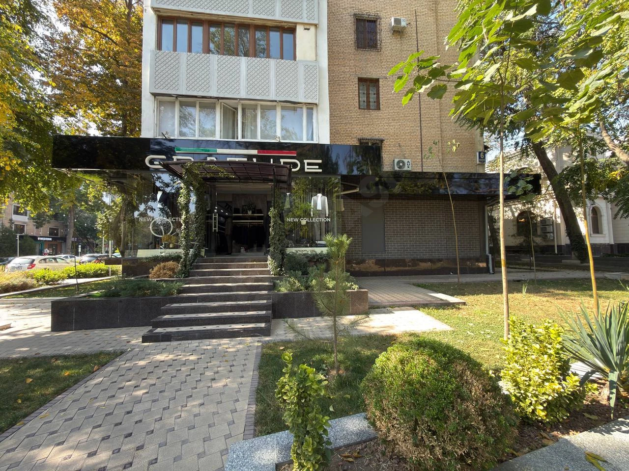 Image 5
