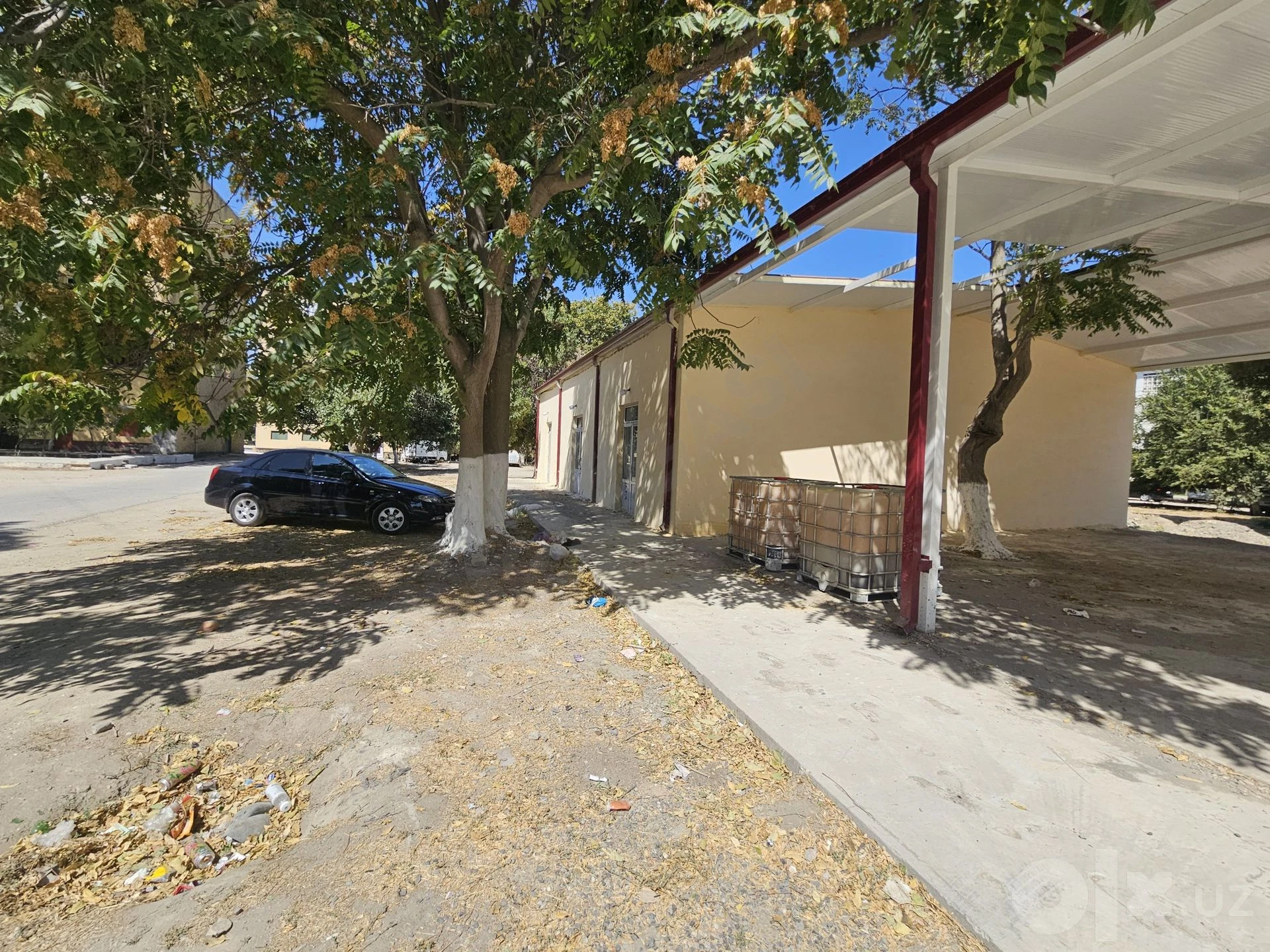 Image 6