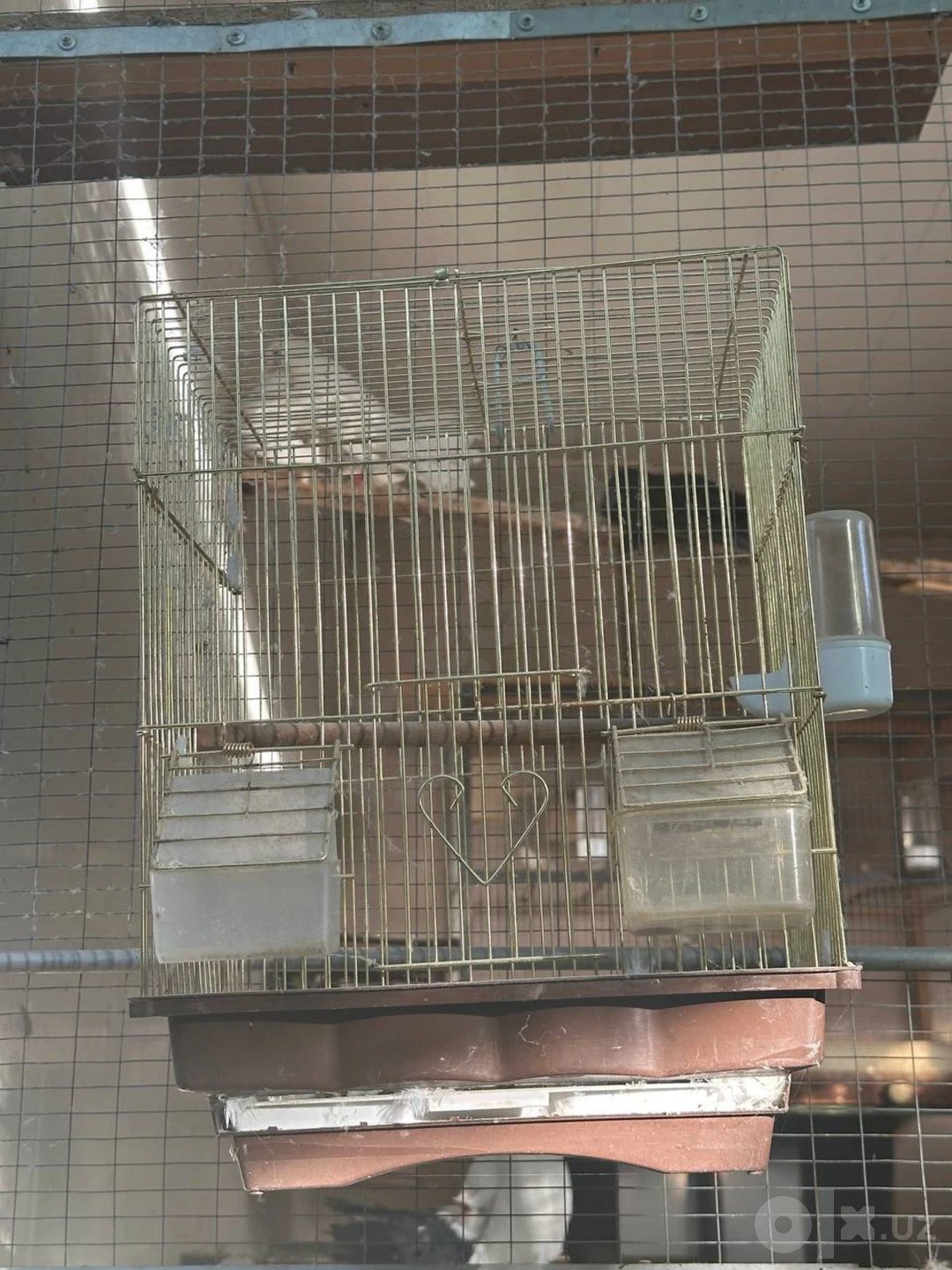Image 1
