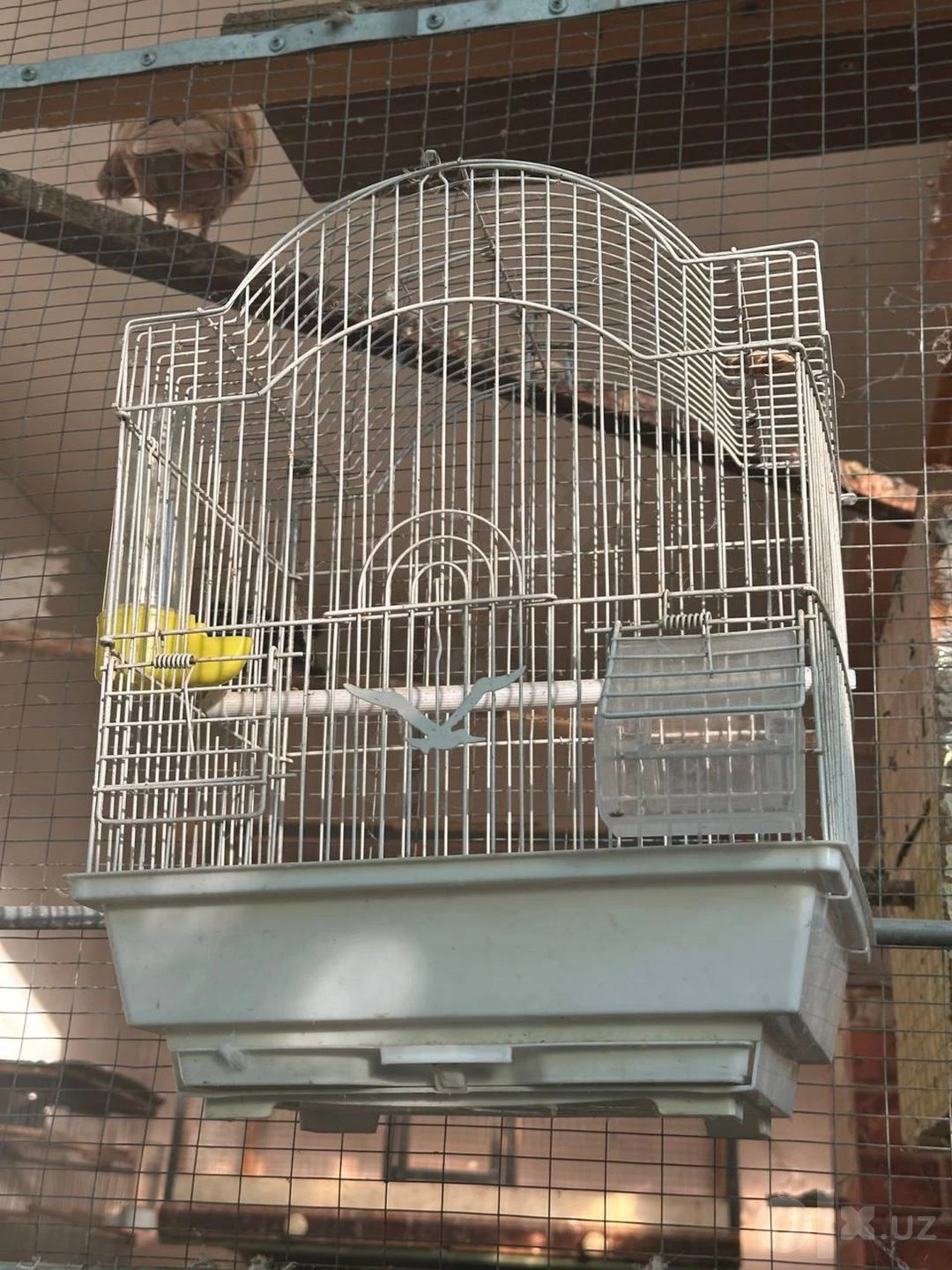 Image 4