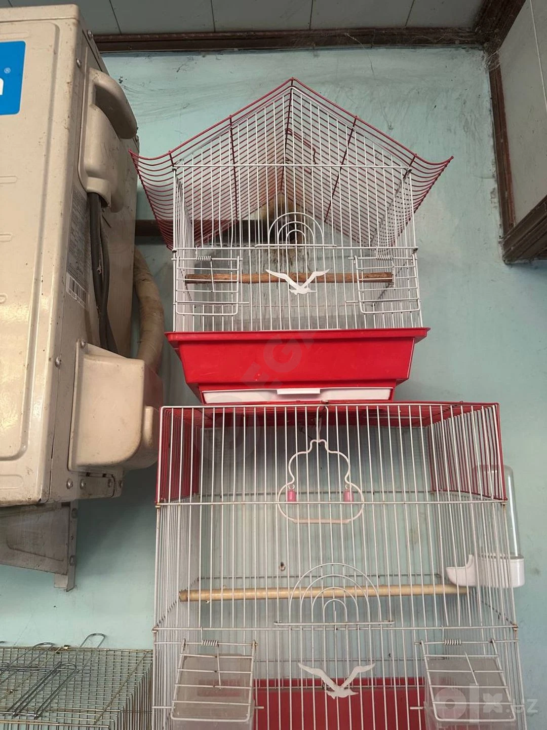 Image 5