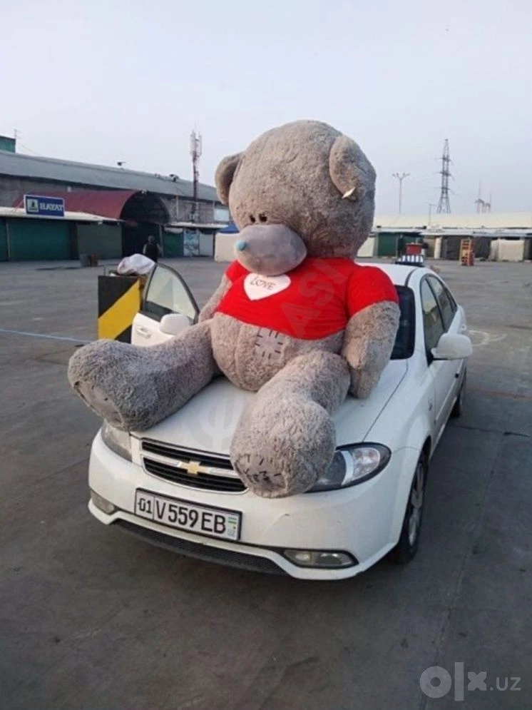 Teddy 2metrlik Teddi - Cover Photo