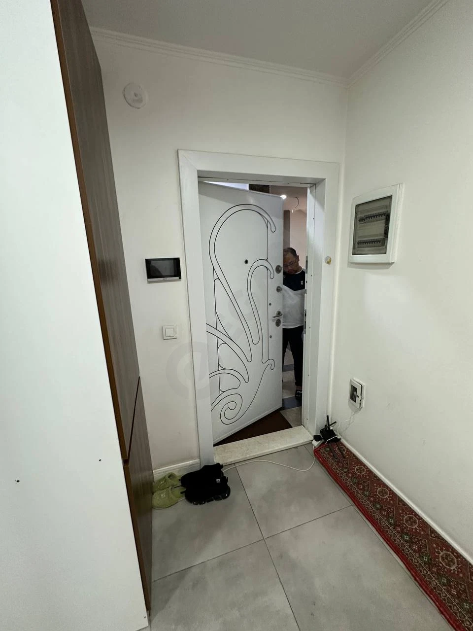 Image 5