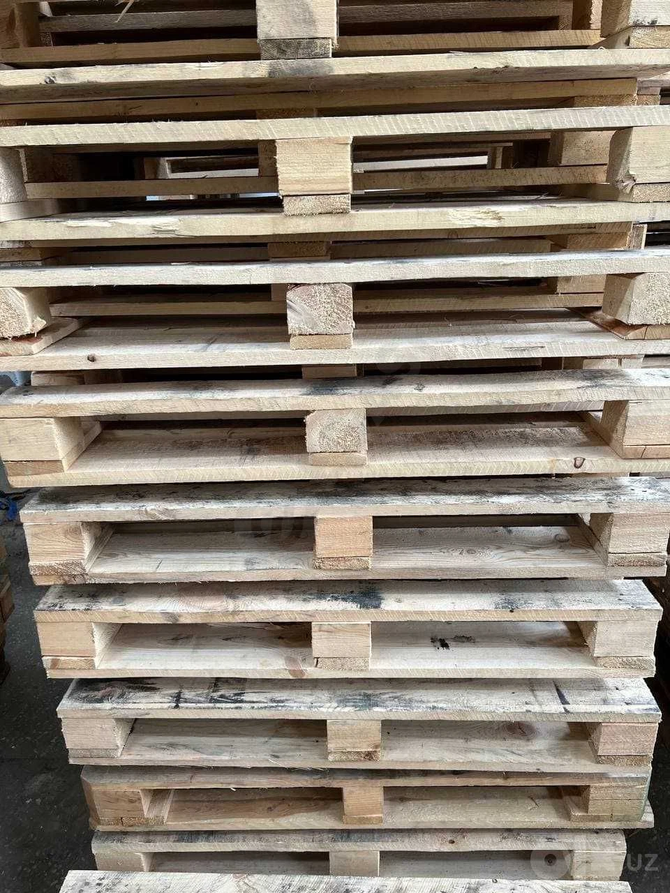 Image 5