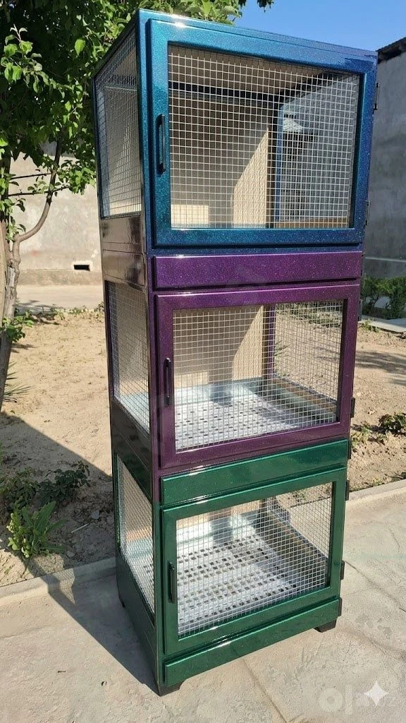 Image 7