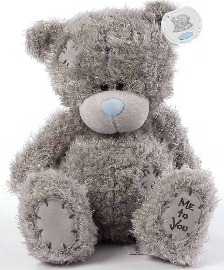 Teddy ayiqcha yangi - Cover Photo