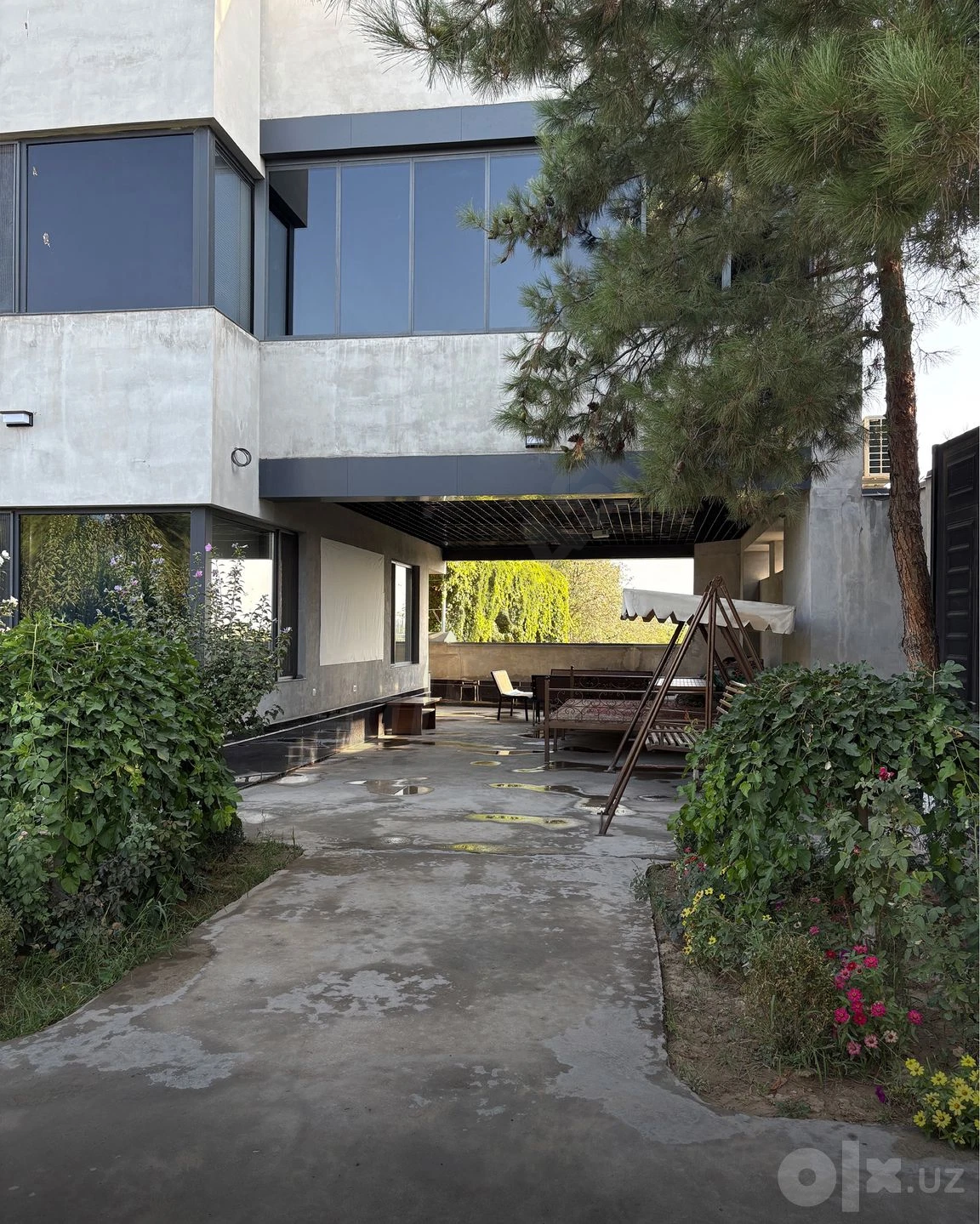 Image 5