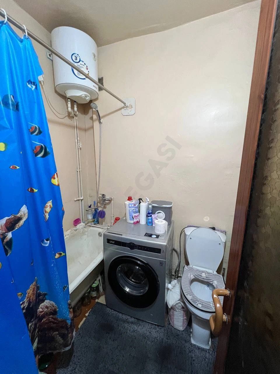Image 5