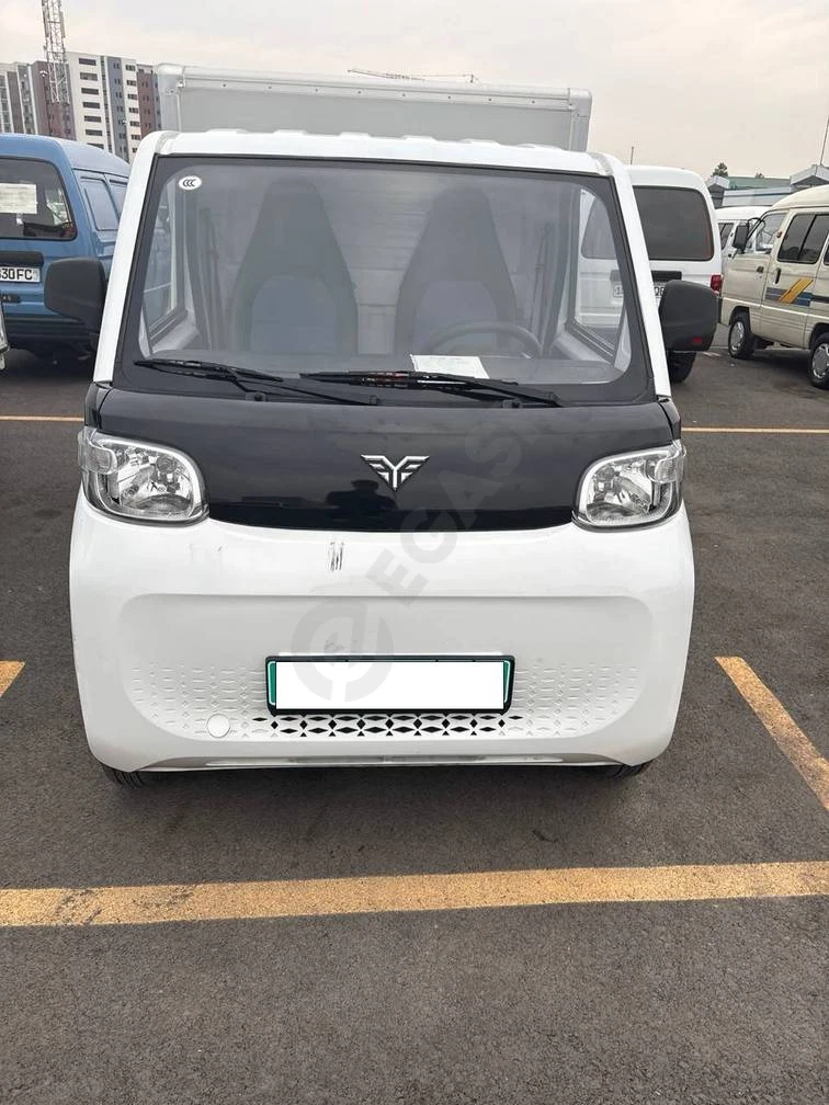 BAIC Leichi, 2023 - Cover Photo