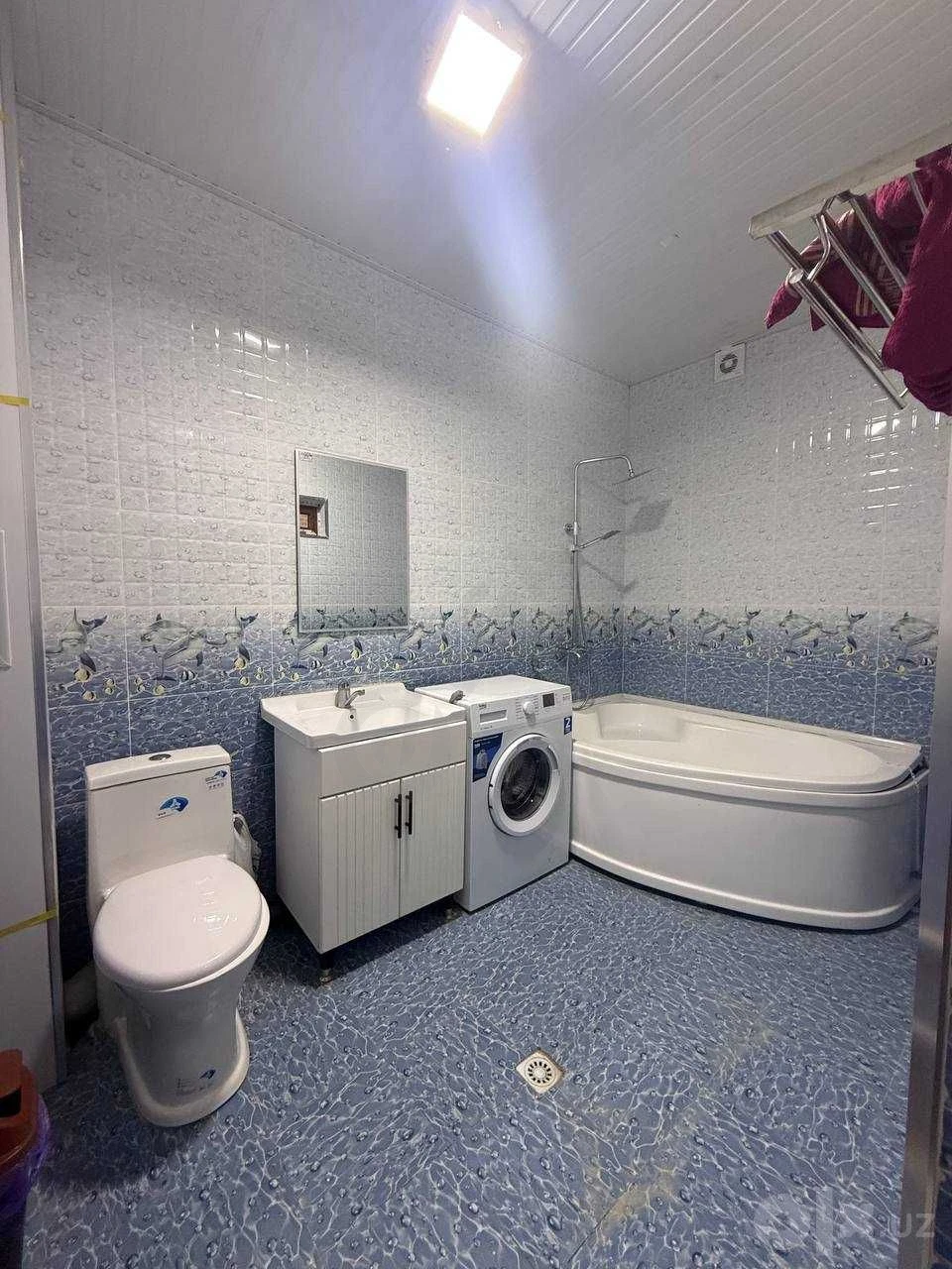 Image 7