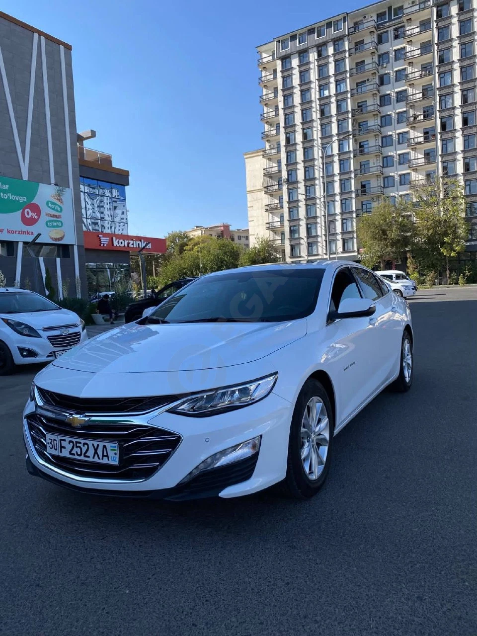 Premier 2.0 Turbo 2020 - Cover Photo