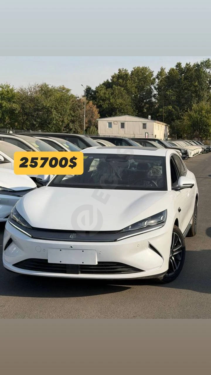 BYD Chin L 545 2025 - Cover Photo