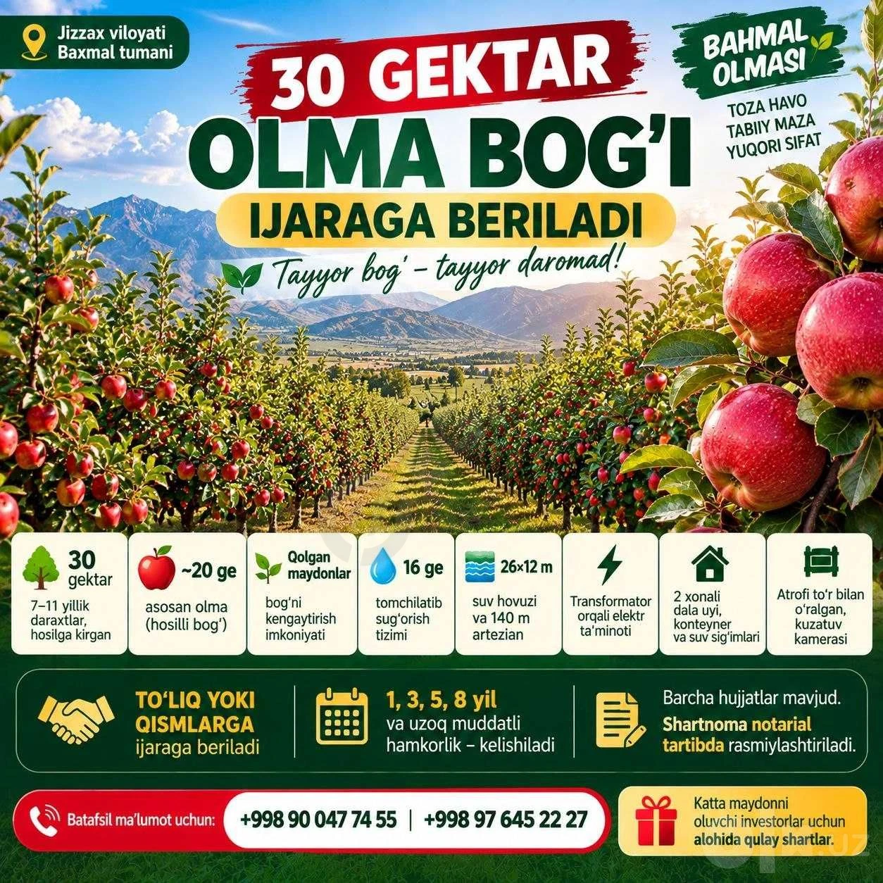 Bahmalda 30 gektar olma bog'i ijaraga beriladi - Cover Photo