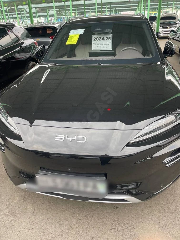 BYD Song Plus Champion, 2024 - Cover Photo