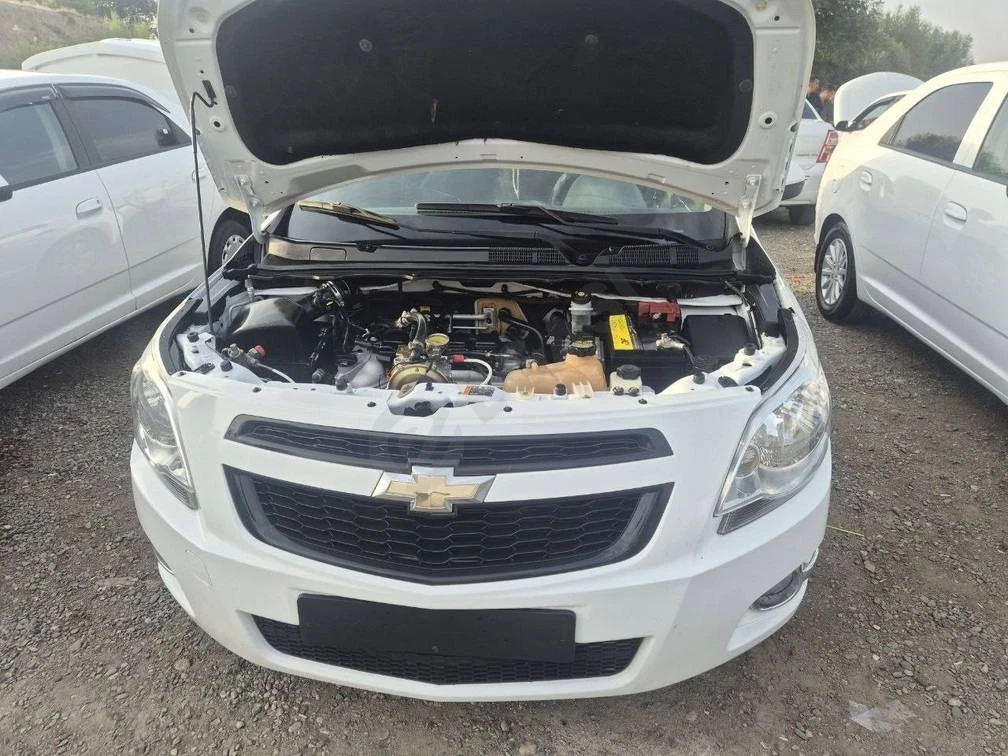 Chevrolet Cobalt, 2019 - Cover Photo