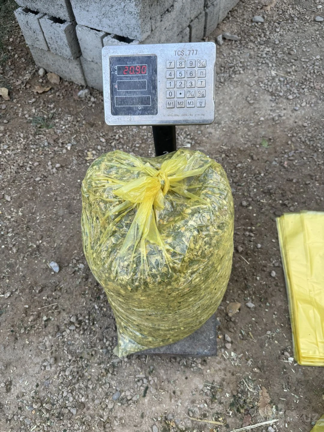 Image 2