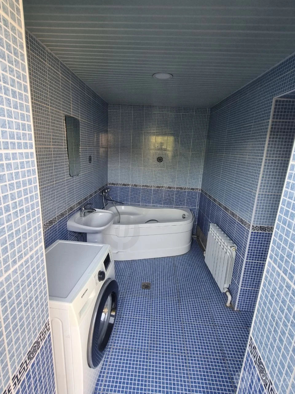 Image 7