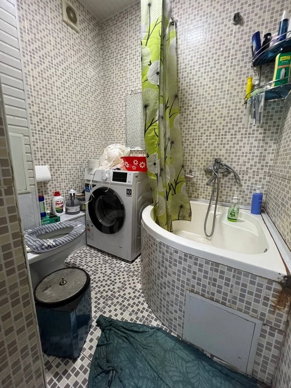 Image 7