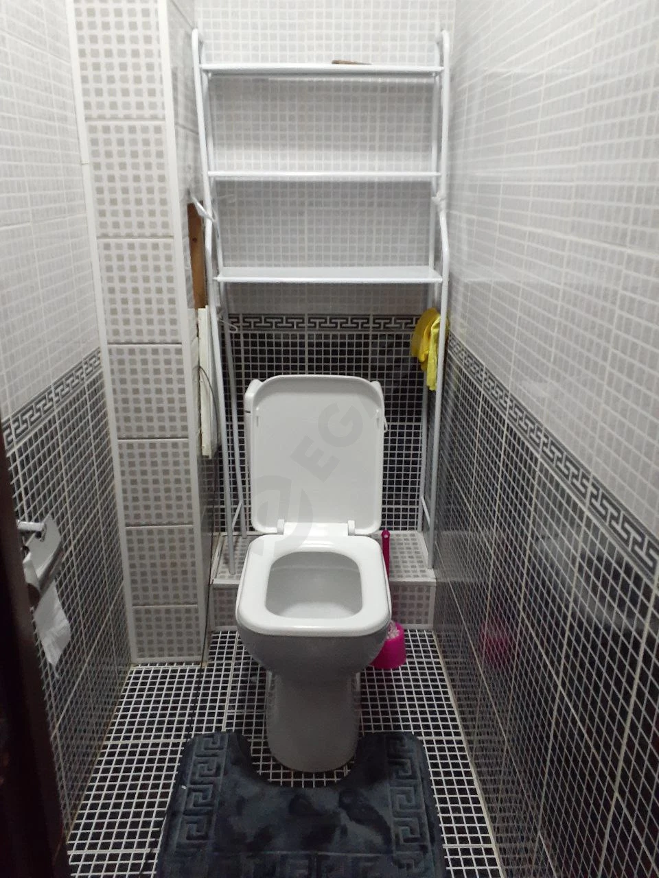 Image 5