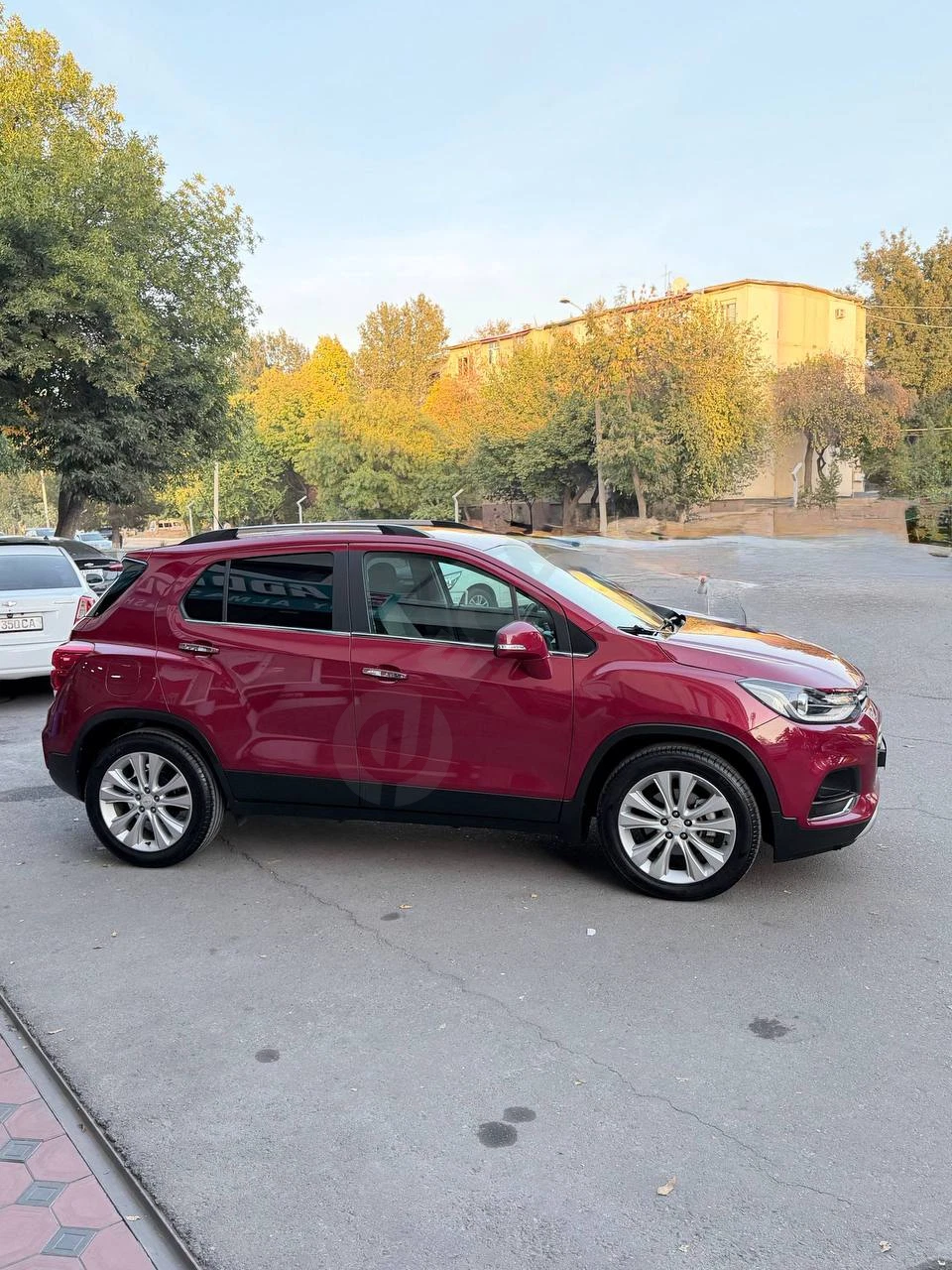 Tracker Premier 2019 — photo 2/6