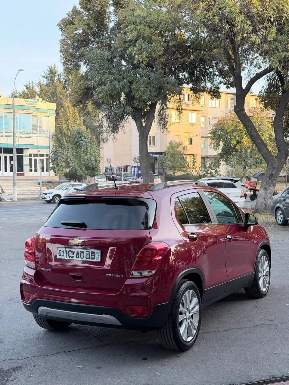 Tracker Premier 2019 — photo 3/6