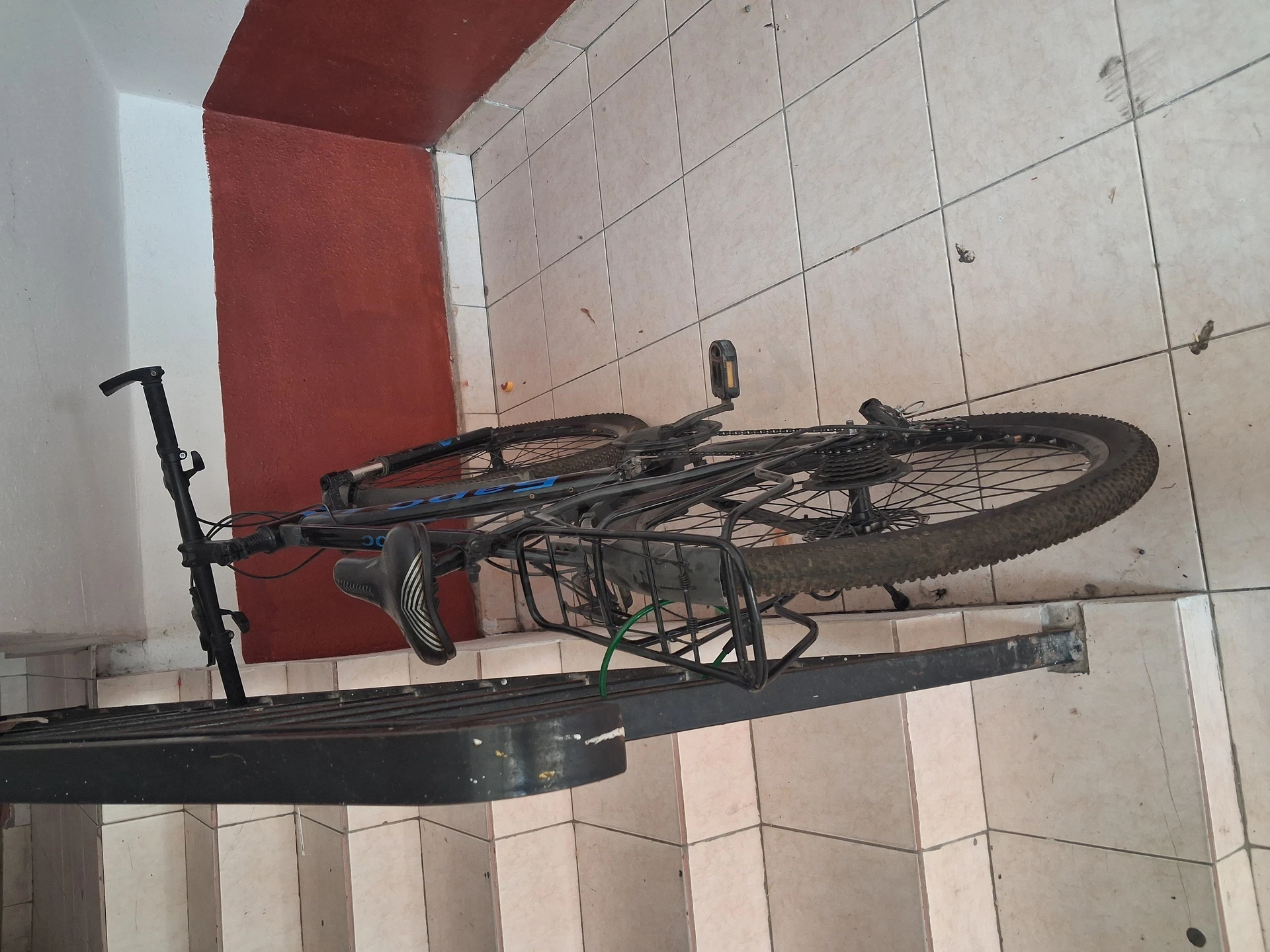 Image 2