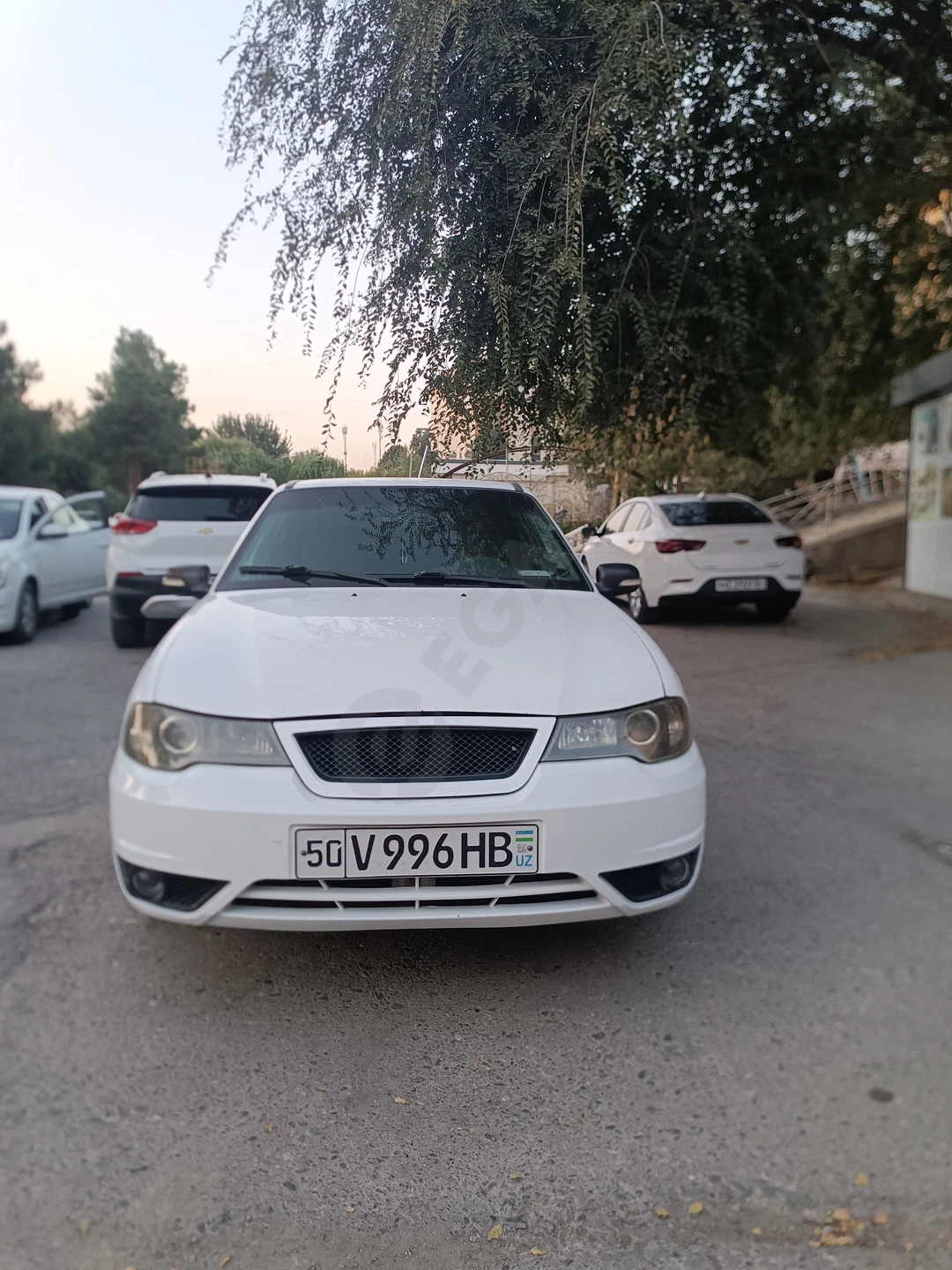 Image 4