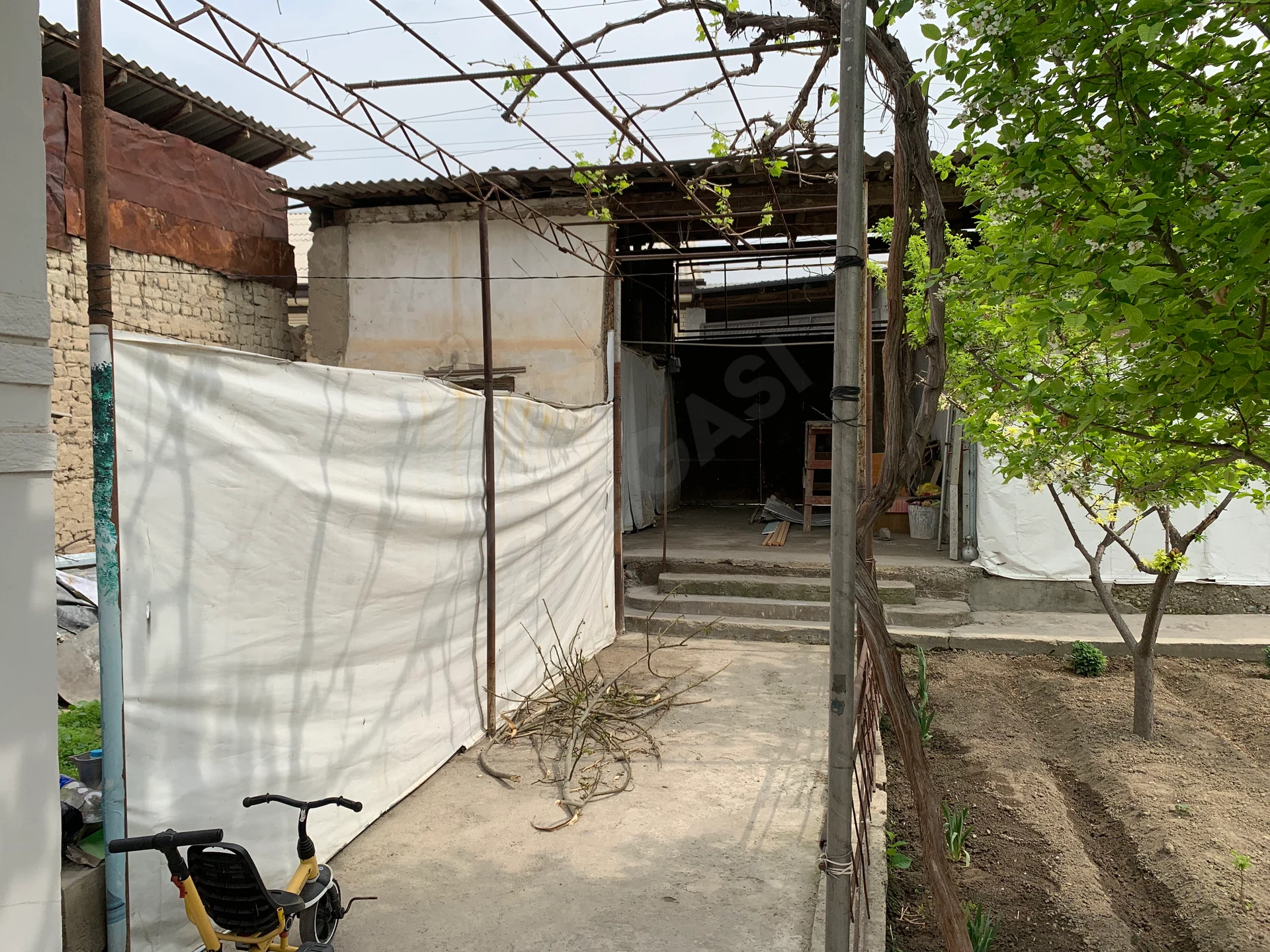 Image 6
