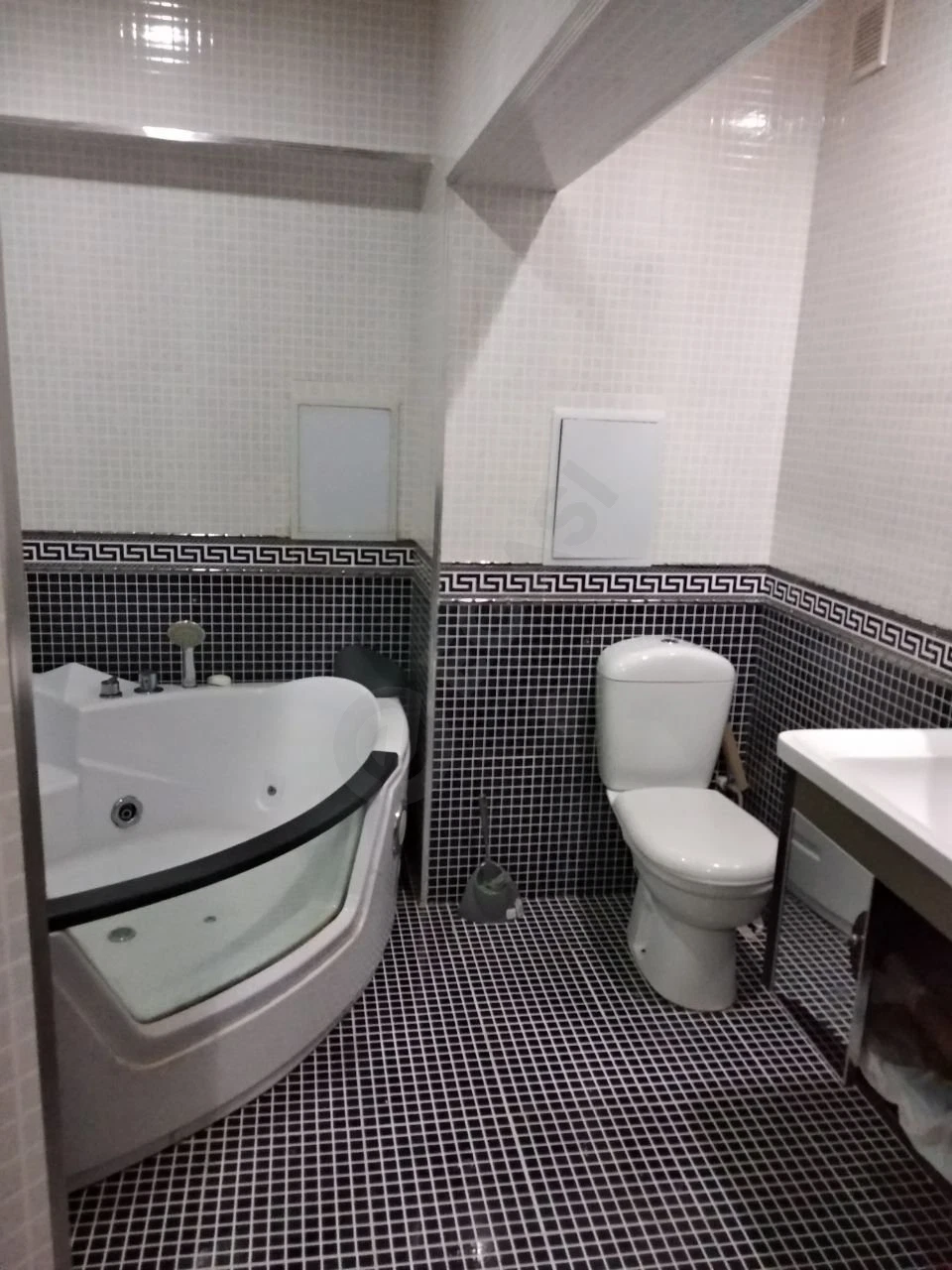 Image 8