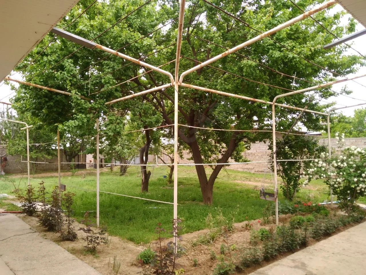 Image 5