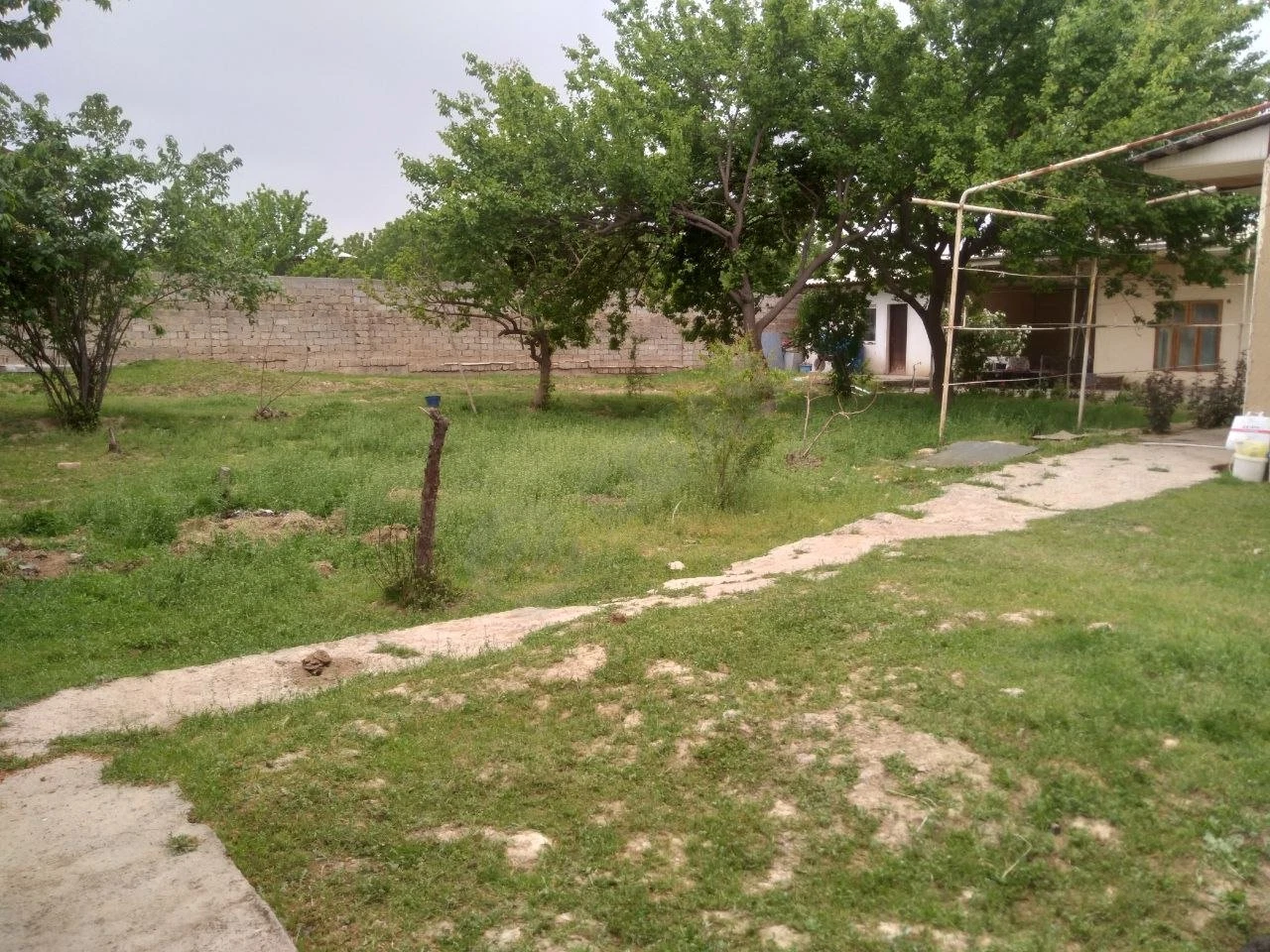 Image 6