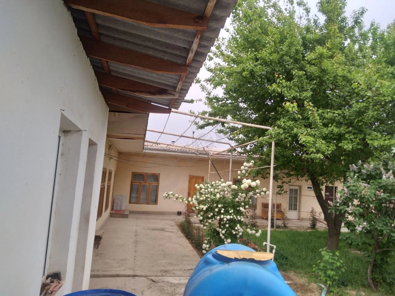 Image 7