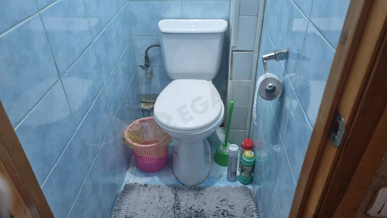 Image 8