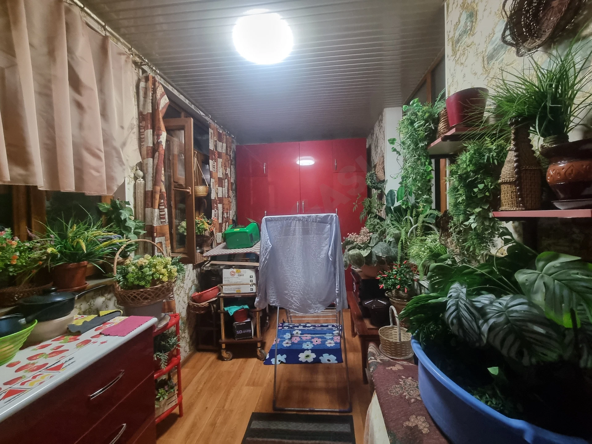 Image 10