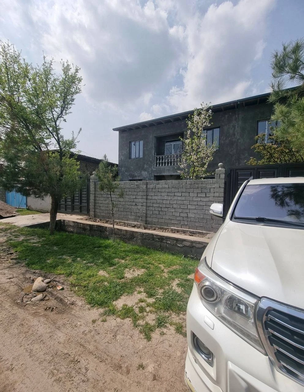 Image 7
