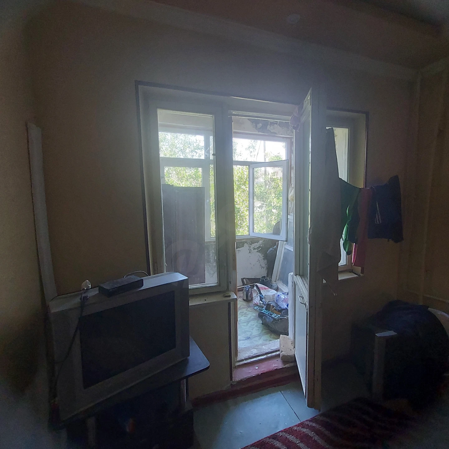 Image 7