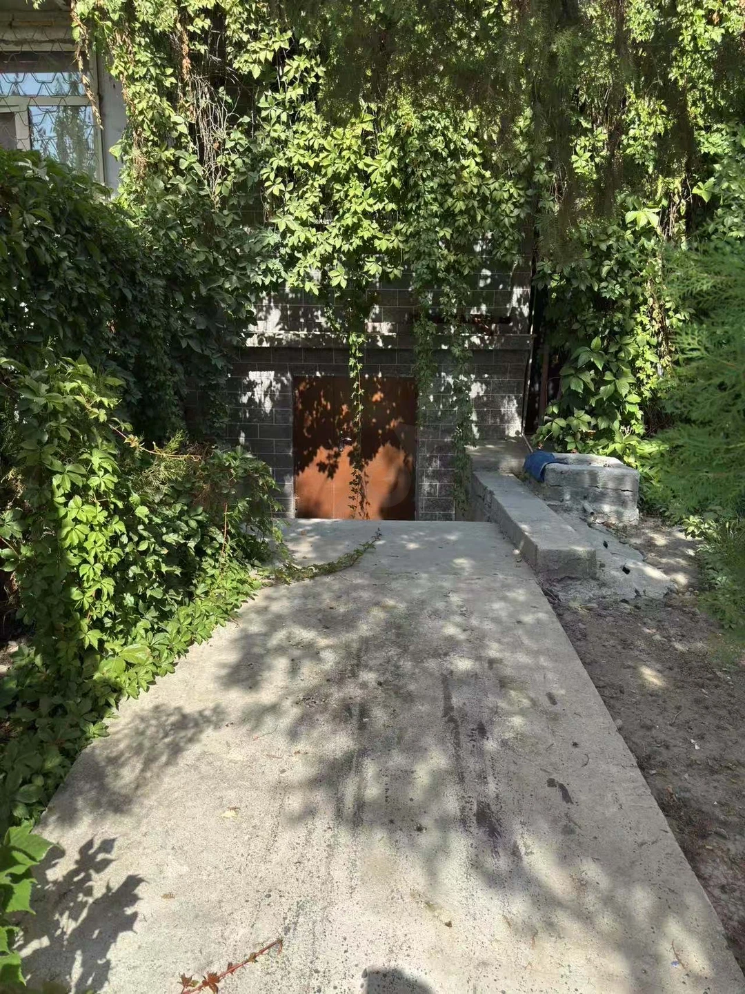 Image 8