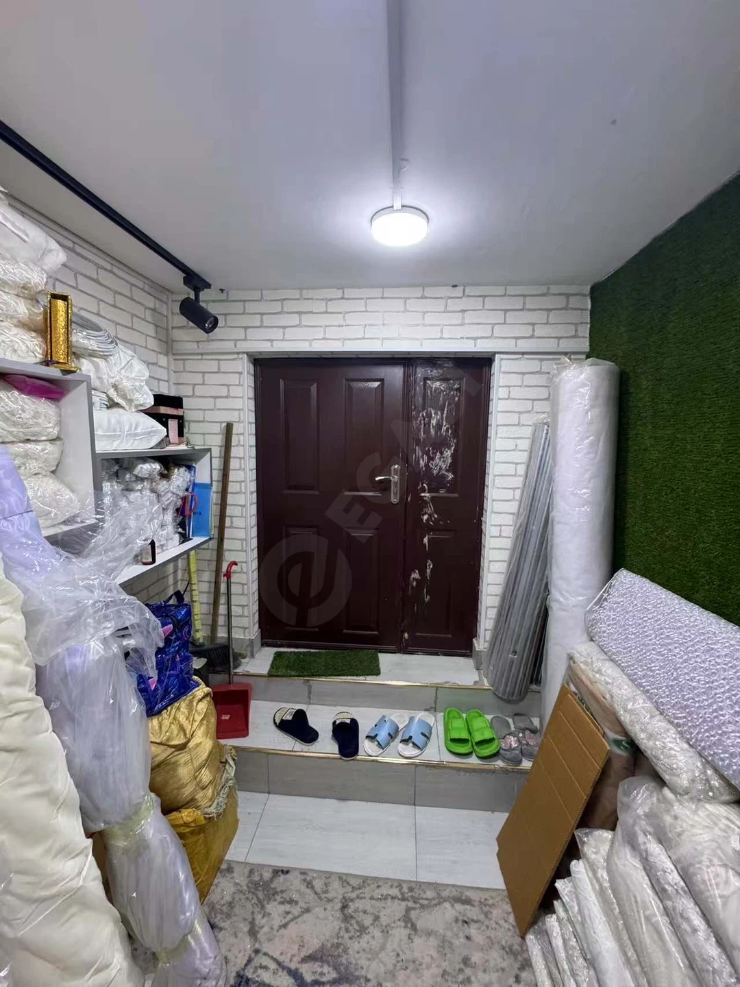 Image 11