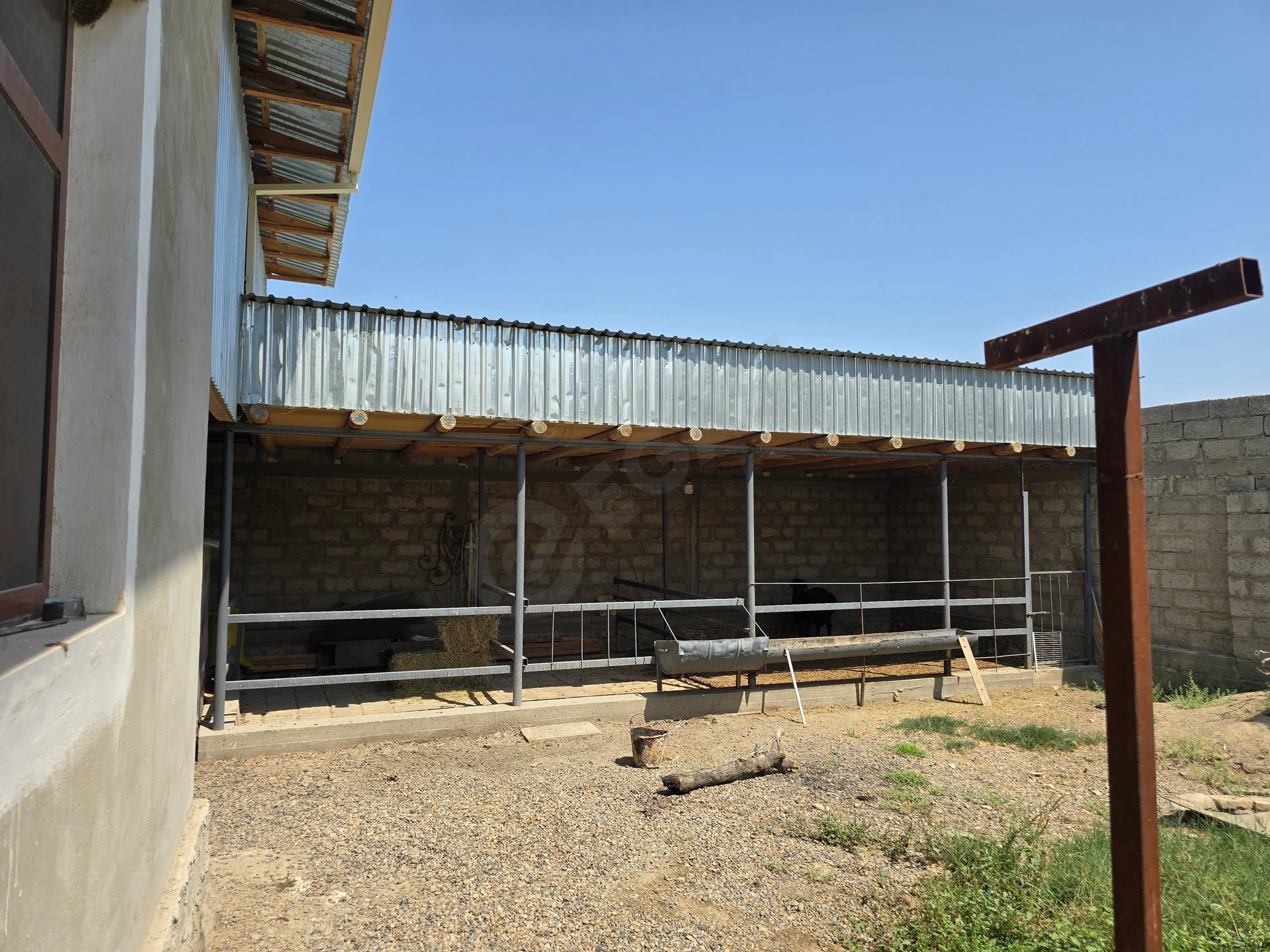 Image 6