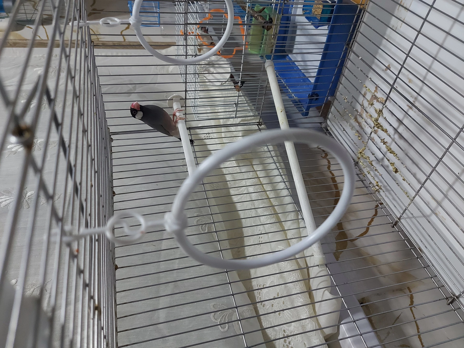 Image 1