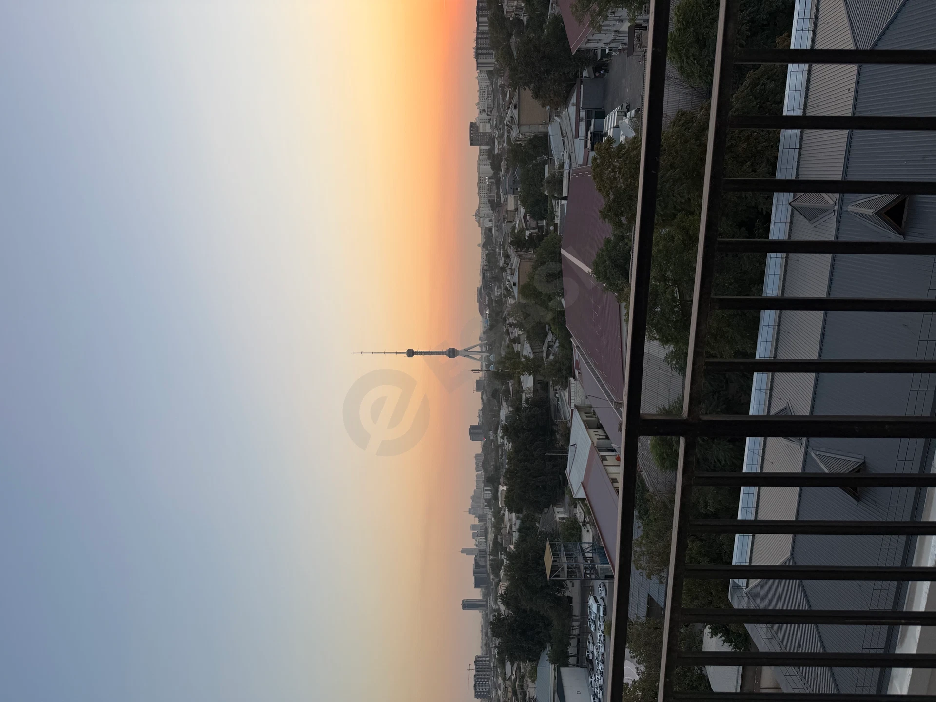 Image 10