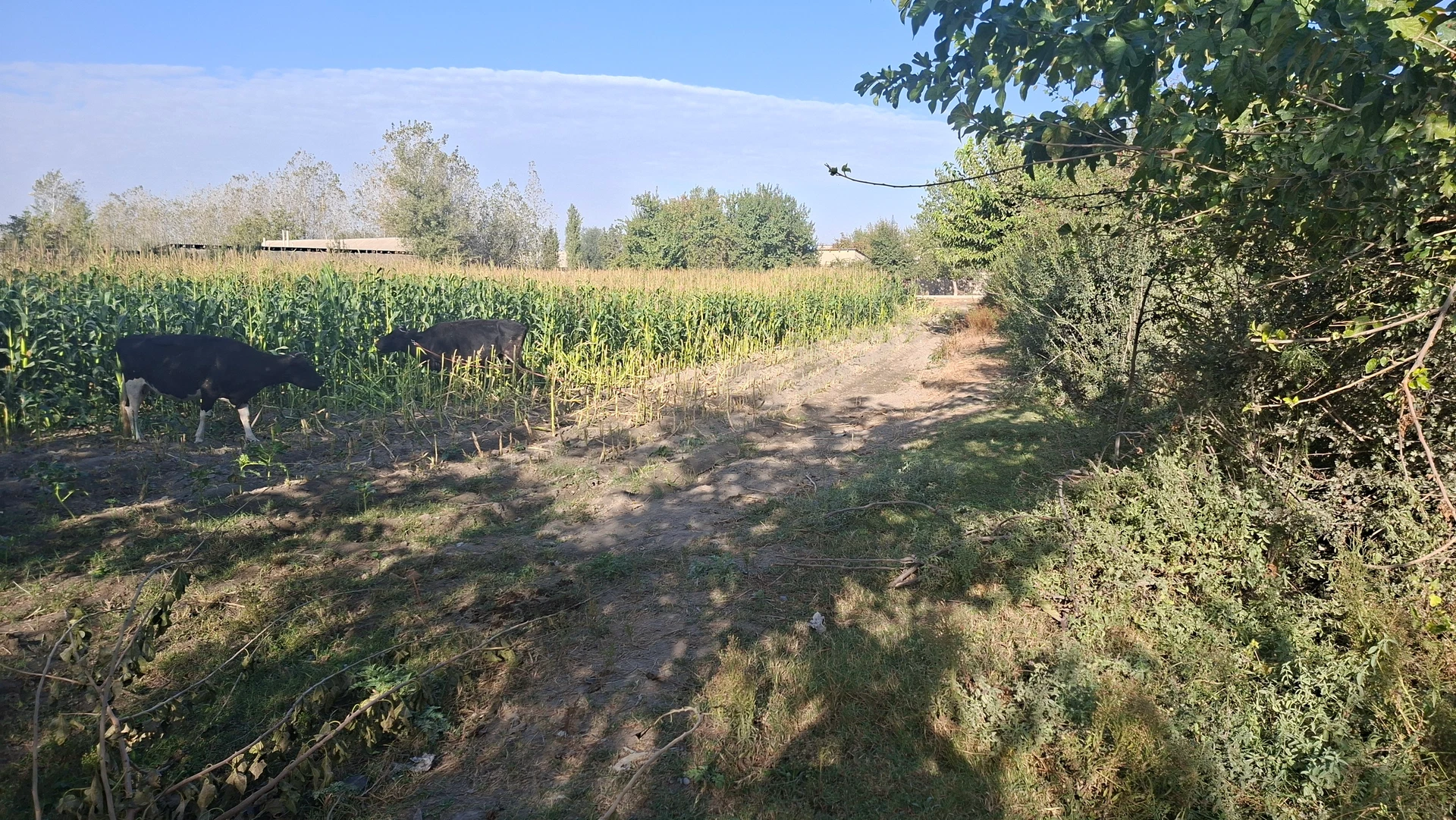 Samarqand, Bulungur, Oqtepa — photo 5/6