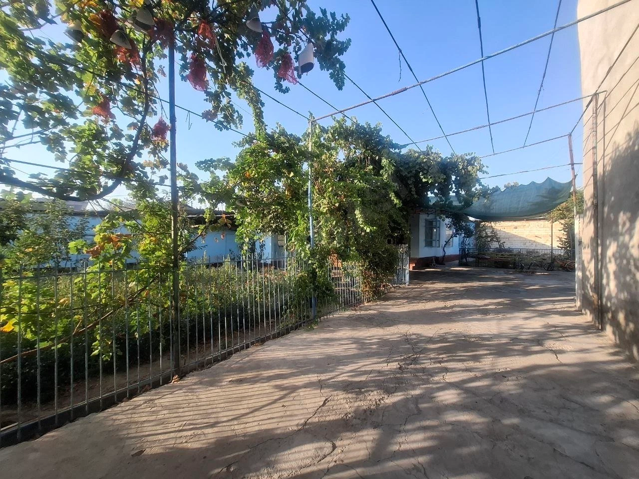 Image 6
