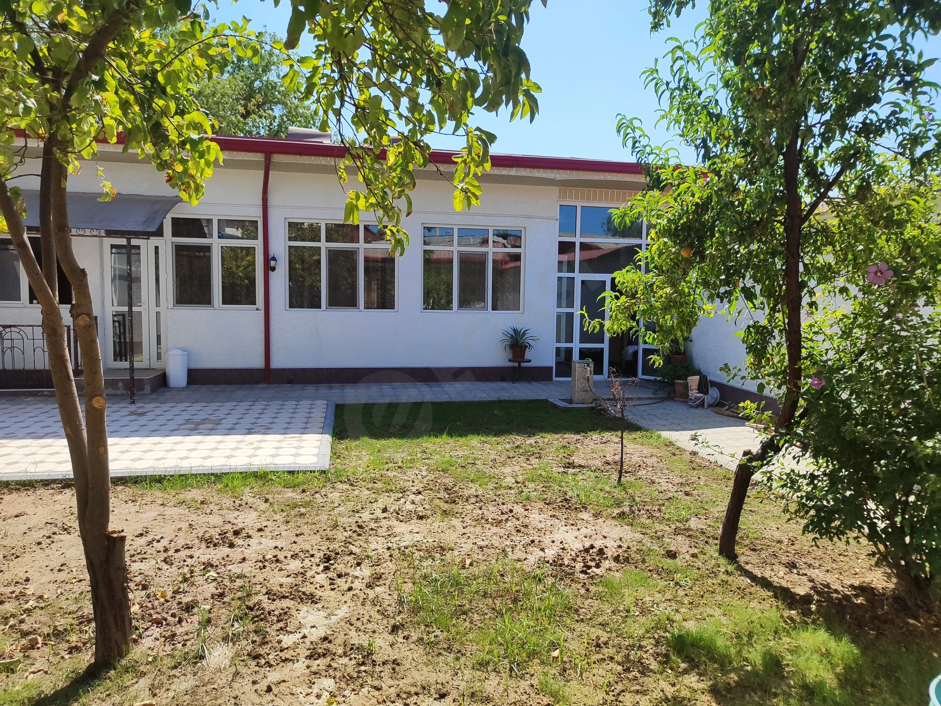 Image 20