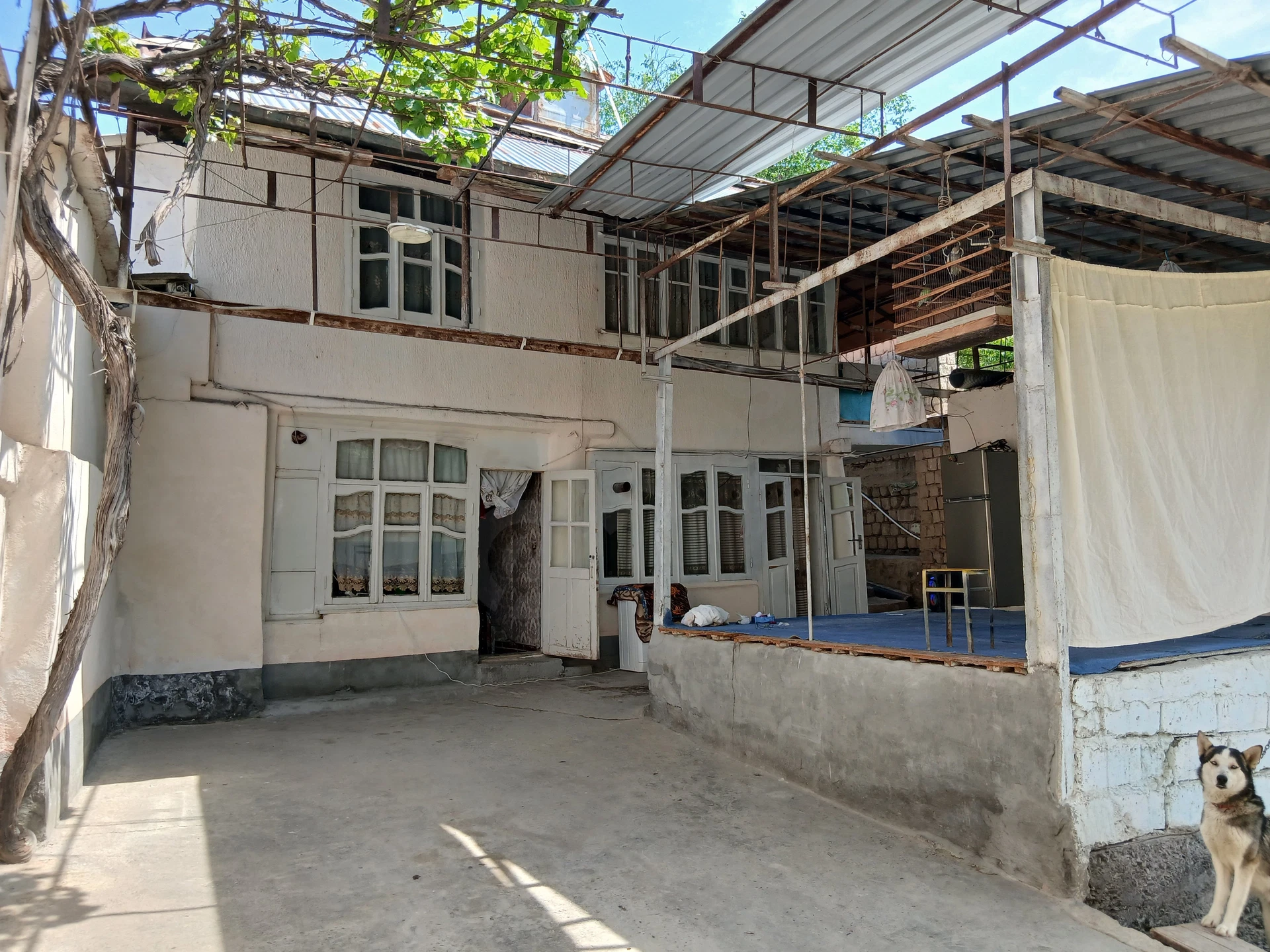 Image 6
