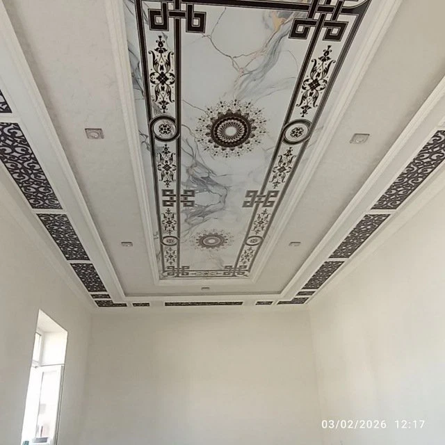 Image 12