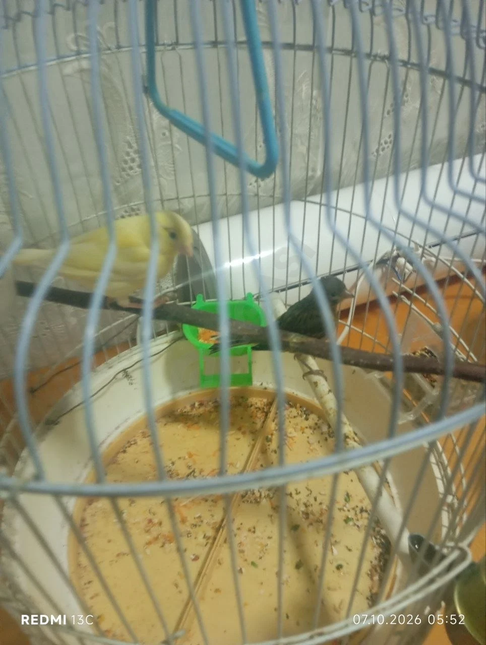Image 8