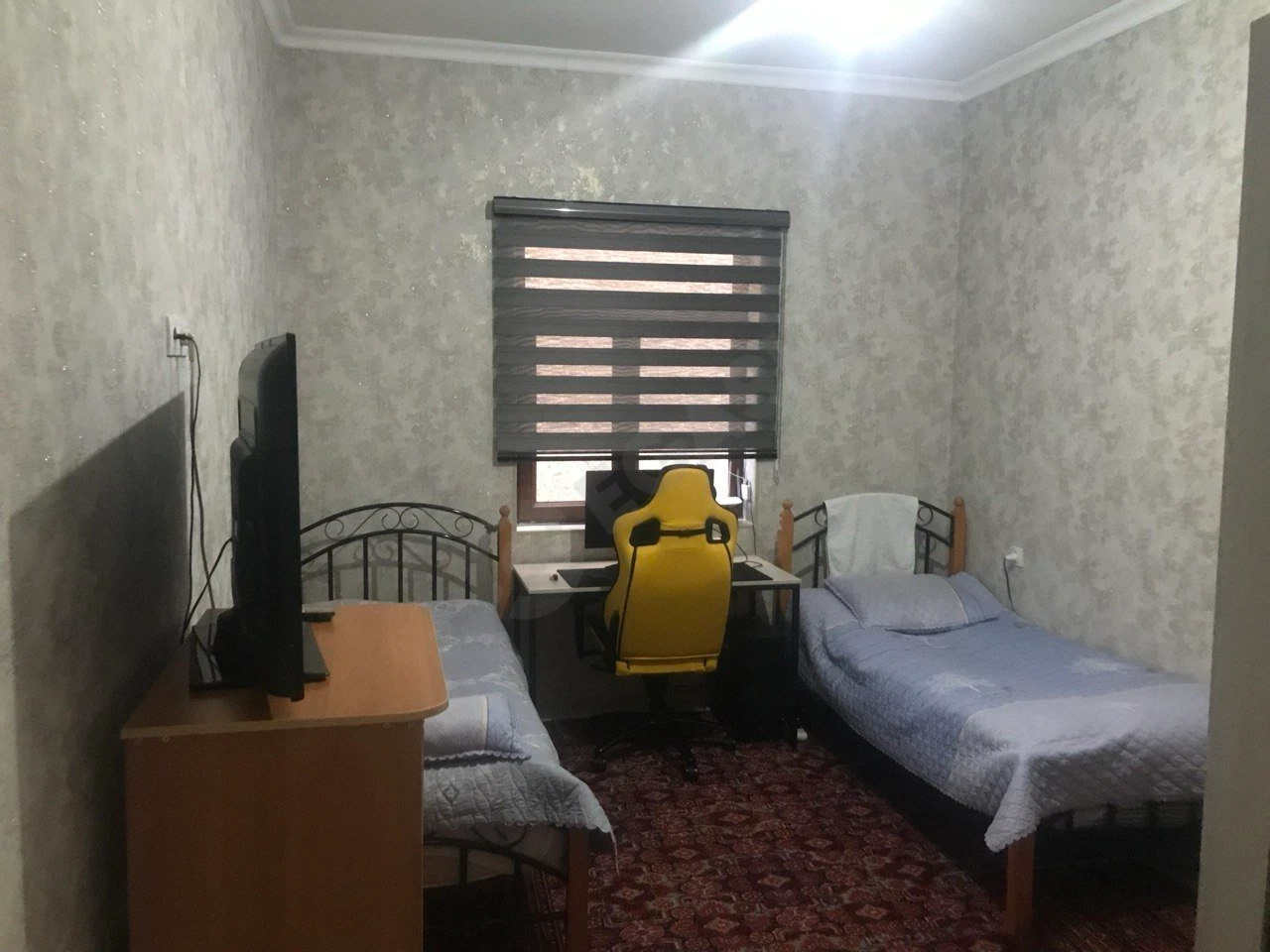 Image 5