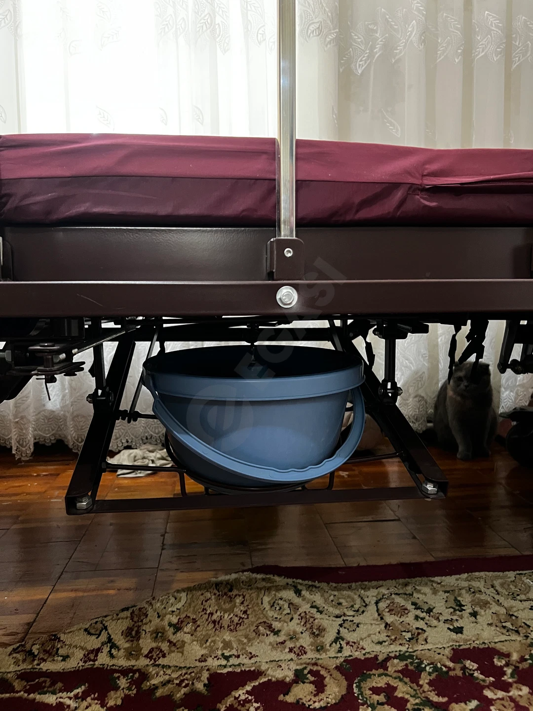 Image 5