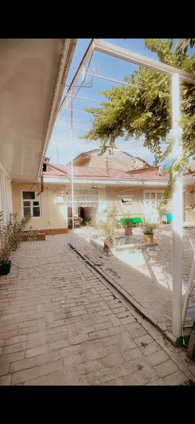Image 6